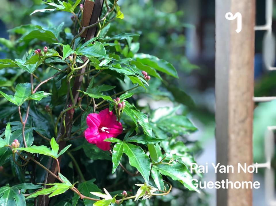 Paiyannoi Guesthome チエンマイ エクステリア 写真
