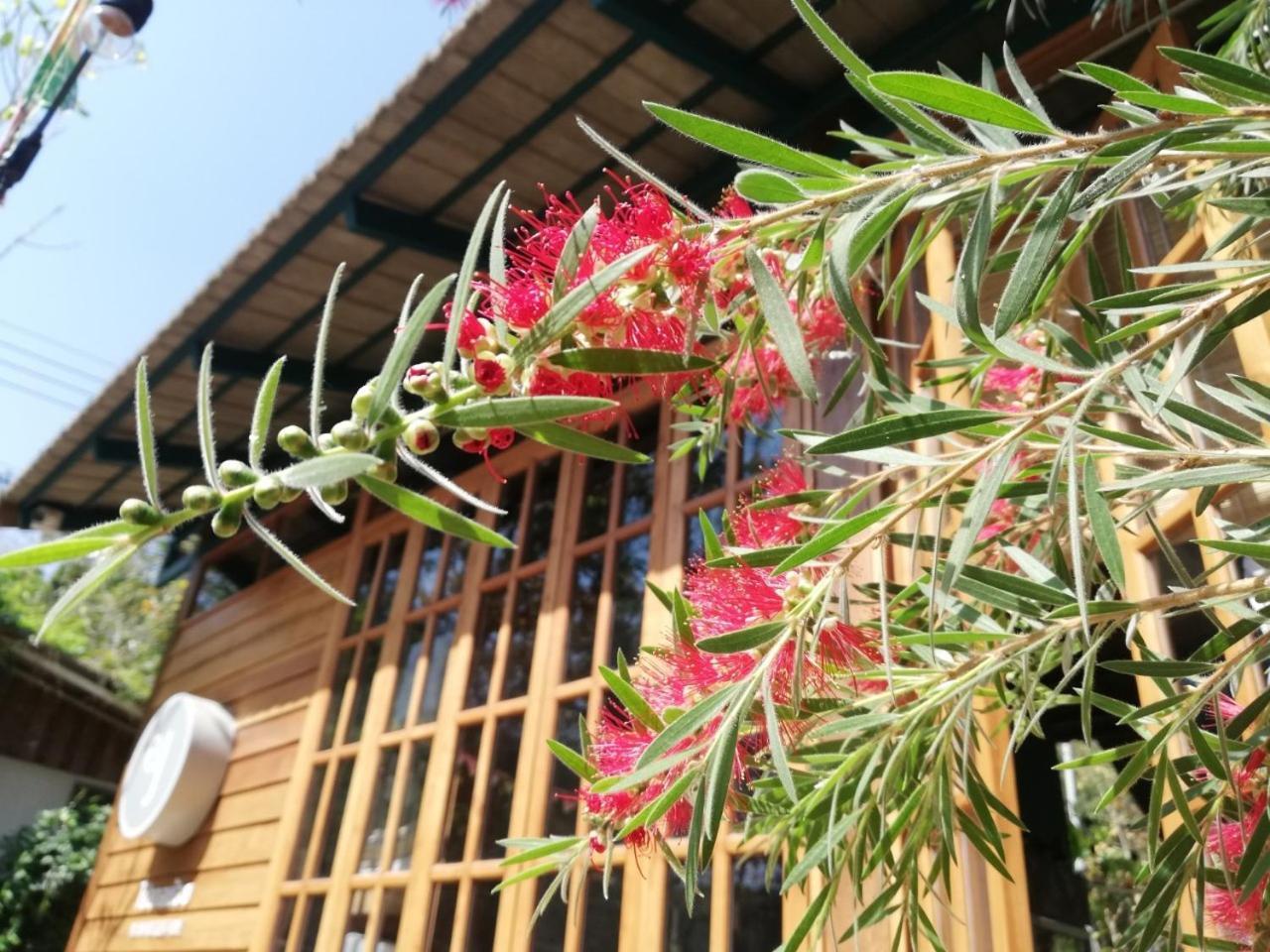 Paiyannoi Guesthome チエンマイ エクステリア 写真
